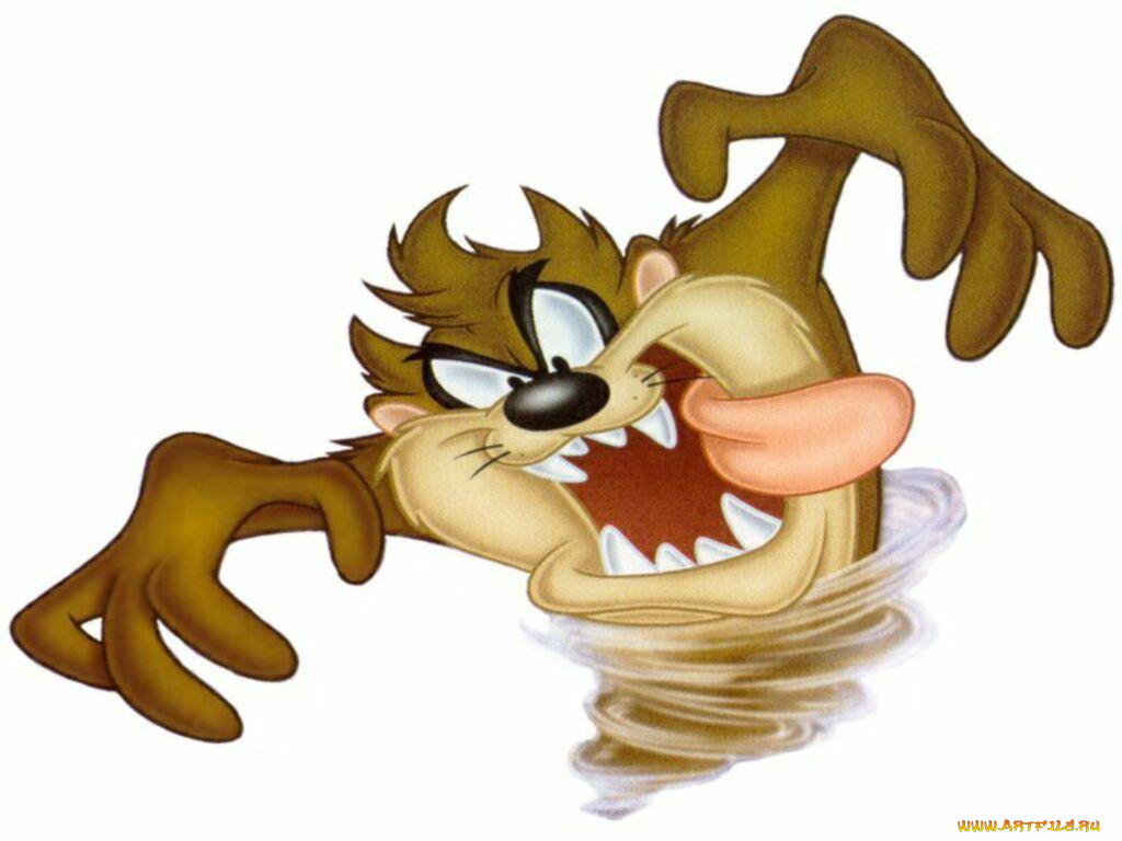 , looney, tunes